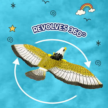 360 Degree Revolving Eagle - Image 3