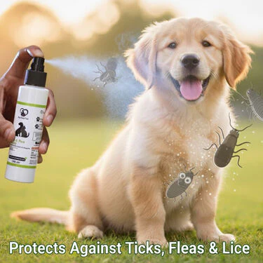 Anti-Tick & Flea Spray For Pets (PET1) - Image 3