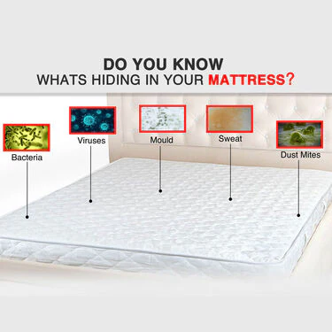 Buy 1 Get 1 Double Mattress Protector Sheet with 2 Pillow Protector Free (DMP6) - Image 4