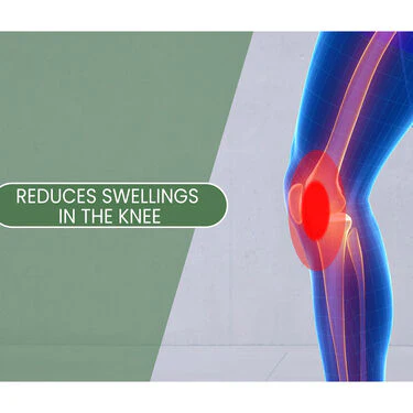 Compression Knee Support - B1G1 (CKS01) - Image 6