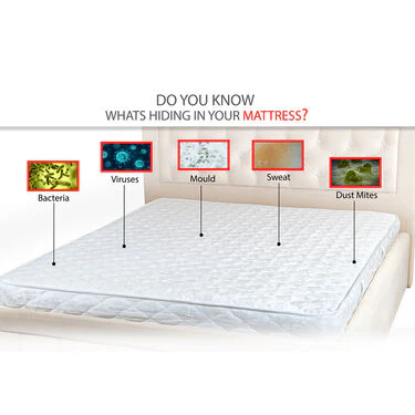 Double Mattress Protector Sheet with 2 Pillow Protector Free (DMP2) - Image 4
