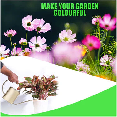 Pack Of Mix Flower Seeds (PFS100) - Image 4