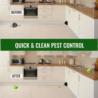Rat & Insect Repellent Balls (Pack Of 25) - Image 5