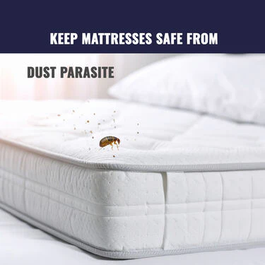 Water Proof Printed Double Bed Mattress Protector Sheet (DMP10) - Image 11